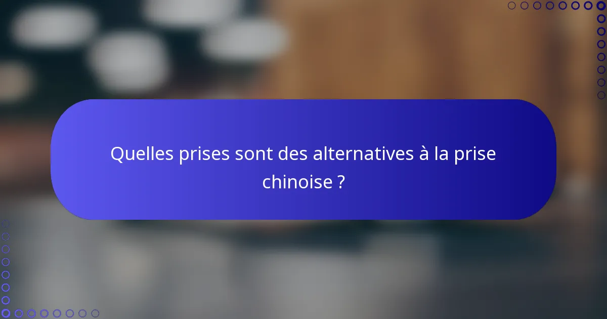 Quelles prises sont des alternatives à la prise chinoise ?